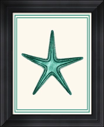 Framed Mixed Nautical Green on Cream f Print