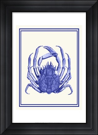 Framed Mixed Nautical Blue on Cream b Print