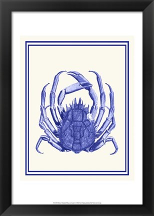 Framed Mixed Nautical Blue on Cream b Print