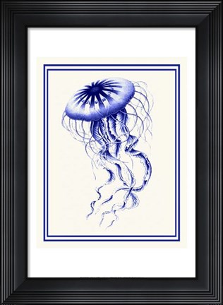 Framed Mixed Nautical Blue on Cream c Print