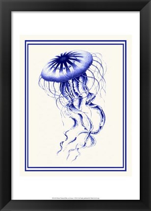 Framed Mixed Nautical Blue on Cream c Print