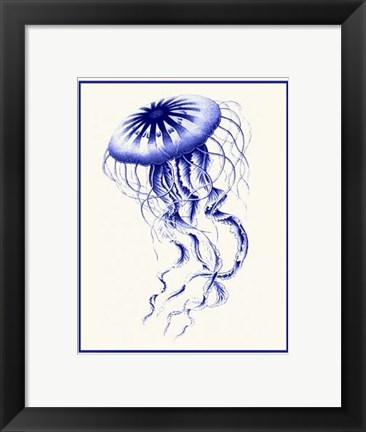 Framed Mixed Nautical Blue on Cream c Print