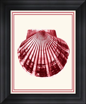 Framed Mixed Nautical Coral on Cream b Print