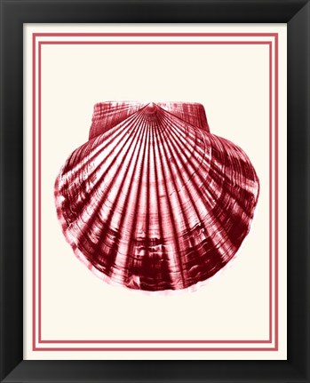 Framed Mixed Nautical Coral on Cream b Print