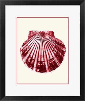 Framed Mixed Nautical Coral on Cream b Print