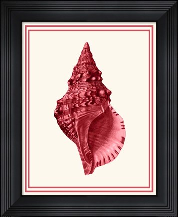 Framed Mixed Nautical Coral on Cream c Print