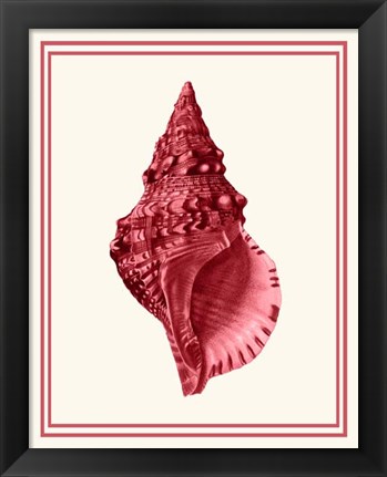 Framed Mixed Nautical Coral on Cream c Print