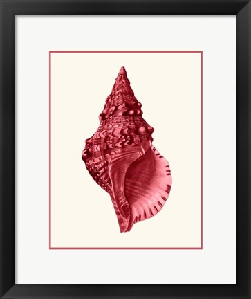Framed Mixed Nautical Coral on Cream c Print