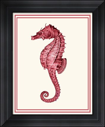 Framed Mixed Nautical Coral on Cream d Print