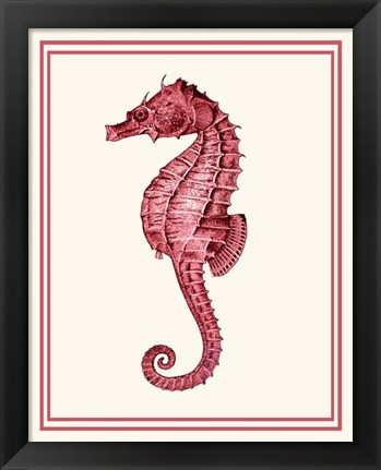 Framed Mixed Nautical Coral on Cream d Print