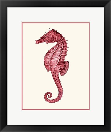 Framed Mixed Nautical Coral on Cream d Print