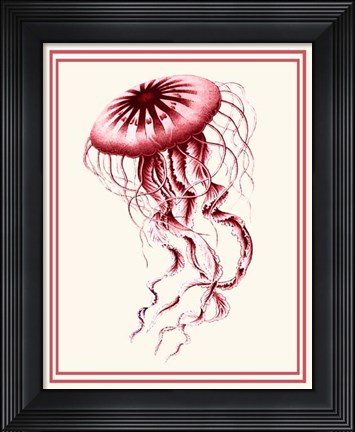 Framed Mixed Nautical Coral on Cream e Print