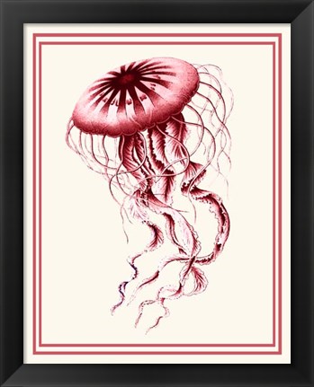 Framed Mixed Nautical Coral on Cream e Print