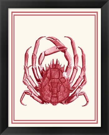 Framed Mixed Nautical Coral on Cream f Print