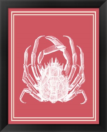 Framed Mixed Nautical White on Coral a Print