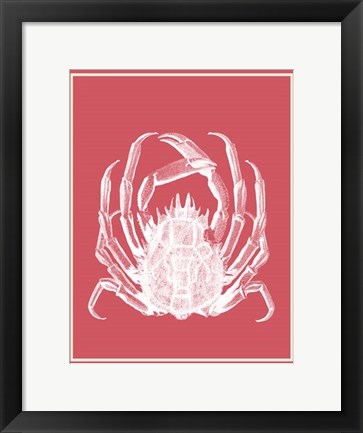 Framed Mixed Nautical White on Coral a Print