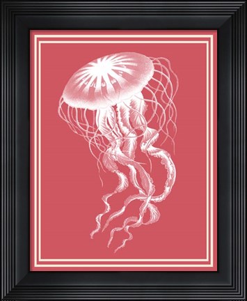 Framed Mixed Nautical White on Coral b Print