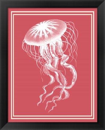 Framed Mixed Nautical White on Coral b Print
