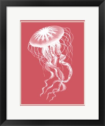 Framed Mixed Nautical White on Coral b Print