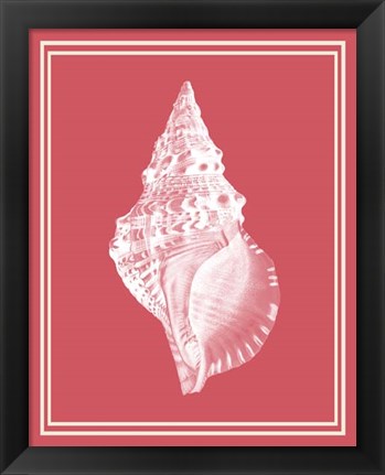 Framed Mixed Nautical White on Coral d Print