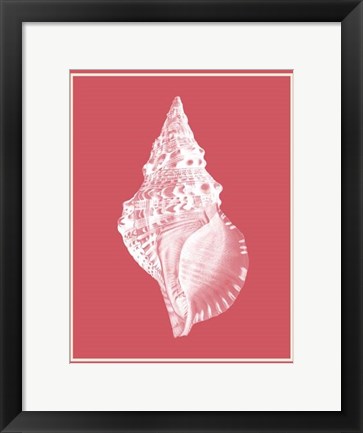 Framed Mixed Nautical White on Coral d Print