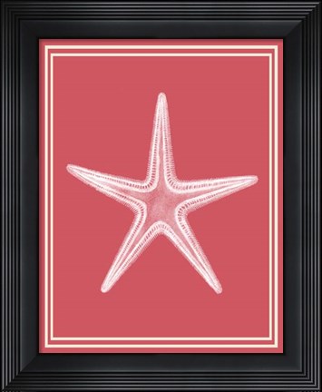 Framed Mixed Nautical White on Coral f Print