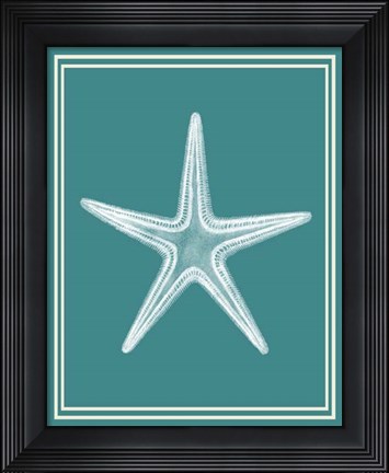 Framed Mixed Nautical White on Teal a Print