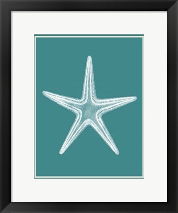 Framed Mixed Nautical White on Teal a Print