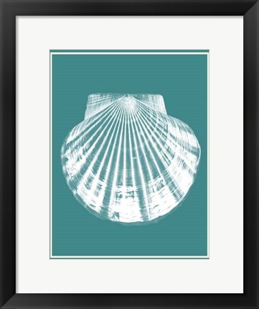 Framed Mixed Nautical White on Teal b Print