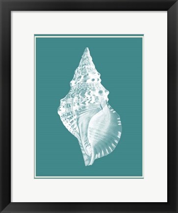 Framed Mixed Nautical White on Teal c Print