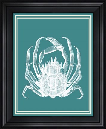 Framed Mixed Nautical White on Teal f Print
