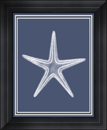 Framed Mixed Nautical White on Indigo Blue a Print