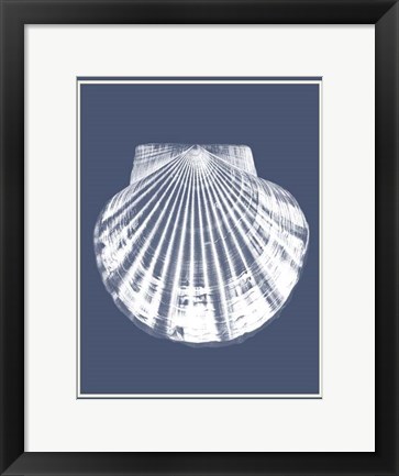 Framed Mixed Nautical White on Indigo Blue b Print