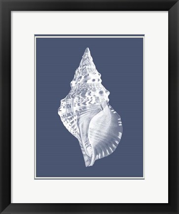Framed Mixed Nautical White on Indigo Blue c Print