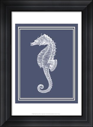Framed Mixed Nautical White on Indigo Blue d Print
