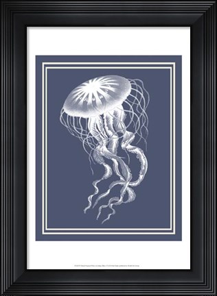 Framed Mixed Nautical White on Indigo Blue e Print