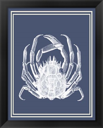 Framed Mixed Nautical White on Indigo Blue f Print
