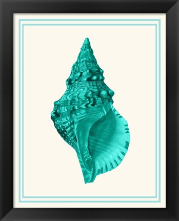 Framed Mixed Nautical Turquoise on Cream a Print