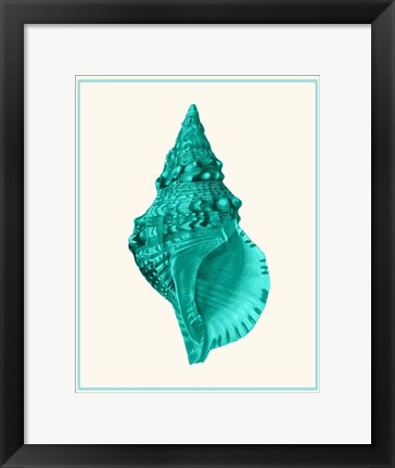 Framed Mixed Nautical Turquoise on Cream a Print