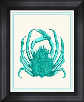 Framed Mixed Nautical Turquoise on Cream b Print