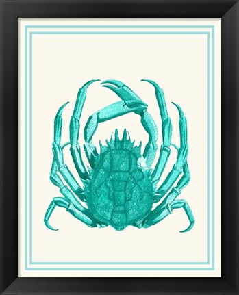 Framed Mixed Nautical Turquoise on Cream b Print