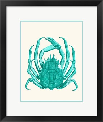 Framed Mixed Nautical Turquoise on Cream b Print