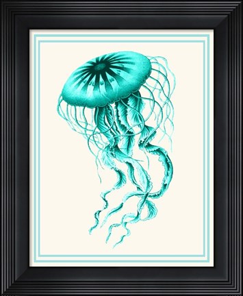 Framed Mixed Nautical Turquoise on Cream c Print