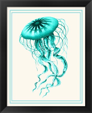 Framed Mixed Nautical Turquoise on Cream c Print