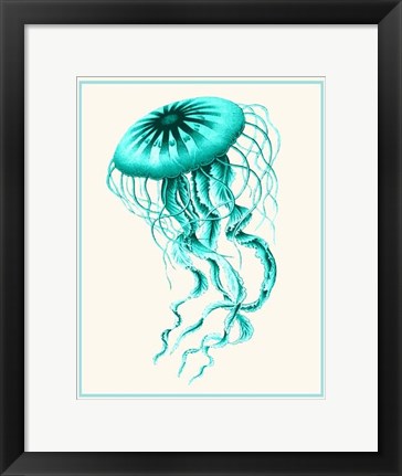 Framed Mixed Nautical Turquoise on Cream c Print
