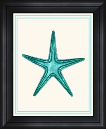 Framed Mixed Nautical Turquoise on Cream f Print
