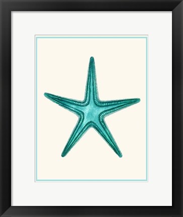 Framed Mixed Nautical Turquoise on Cream f Print