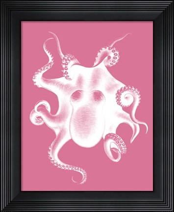Framed Octopus White on Pink c Print
