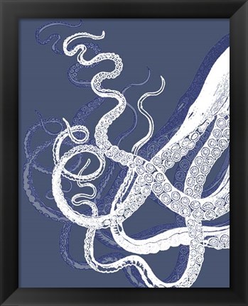 Framed White Octopus on Indigo Blue c Print