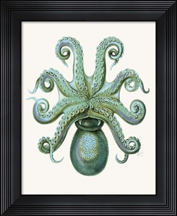Framed Turquoise Octopus and Squid c Print